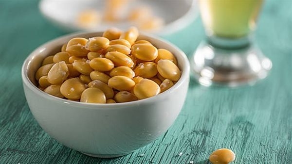 فوائد الترمس، يقوي المناعة ويحمي القلب من الأمراض