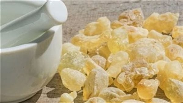 أبرزها علاج الروماتويد وقرحة المعدة، 11 فائدة لـ اللبان الدكر