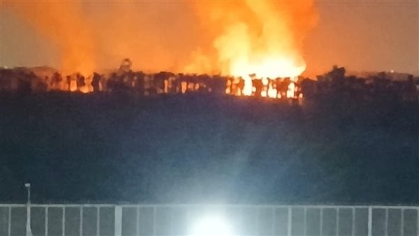 حريق هائل يلتهم 5 أفدنة من زراعات النخيل بالقليوبية والدفع بـ 10 سيارات إطفاء (صور)