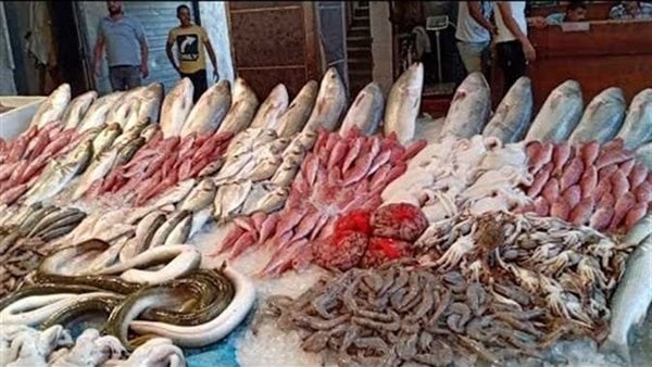 سعر السمك اليوم، انخفاض كبير في المكرونة وقشر بياض والبلطي "كل يوم بحال"