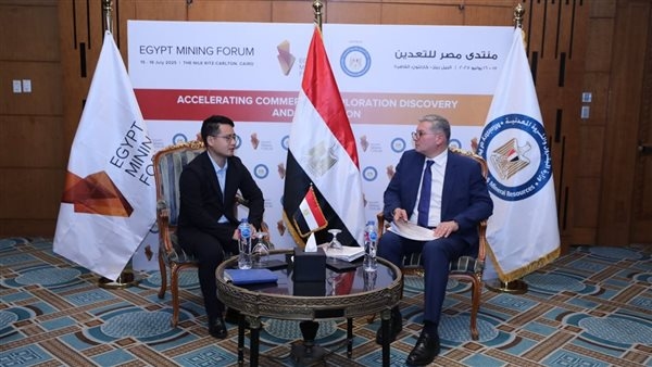 وزير البترول يبحث مع شركة عالمية إنشاء مصنع خلايا شمسية