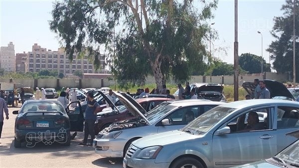 تبدأ من 50 ألف جنيه، أسعار وأنواع السيارات في سوق الإسماعيلية (فيديو وصور)