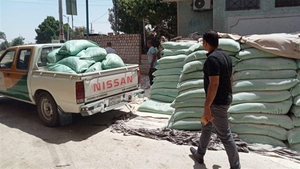 تحرير 490 محضر متنوع في حملة تموينية على أسواق أسيوط