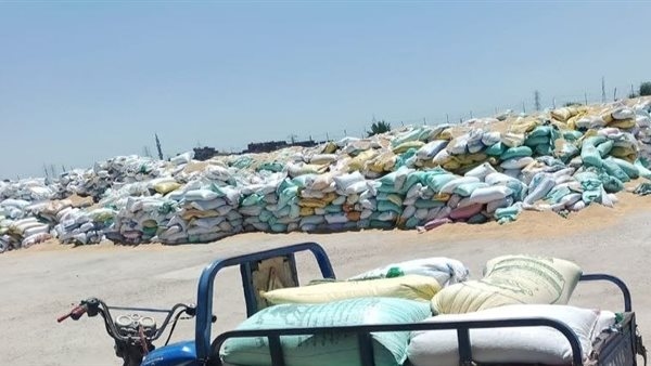 صوامع الشرقية تستقبل 97 طن قمح خلال 24 ساعة