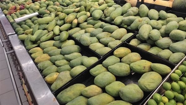 تبدأ من 15 جنيها والأغلى بـ 100، أسعار المانجو اليوم الجمعة 25 يوليو 2025