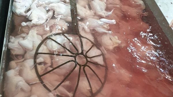 بيطري الشرقية يضبط 6 أطنان لحوم بمجزر غير مرخص