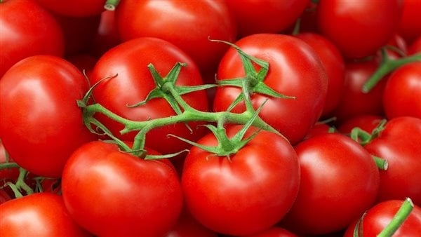 فوائد الطماطم، سر صحتك وجمال بشرتك وشعرك