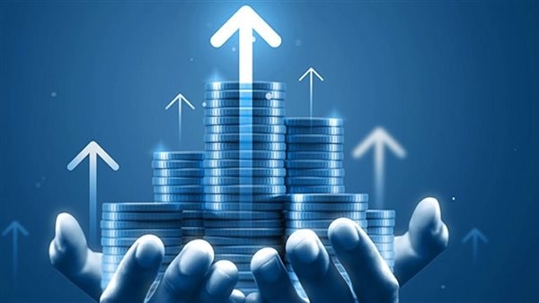 رسوم يؤديها المستثمر لجهات تقدم خدمات الاستثمار وفق القانون
