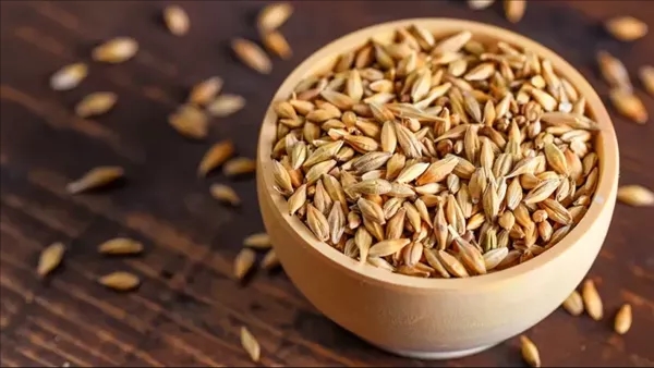 تفسير حلم الشعير في المنام وعلاقته بالحصول على أموال كثيرة قريبا