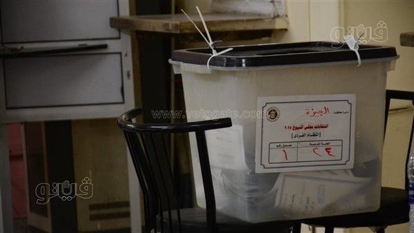 الهيئة الوطنية للانتخابات: 17.1% نسبة المشاركة بانتخابات مجلس الشيوخ