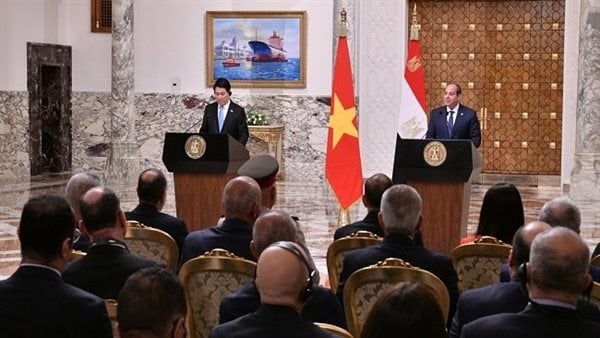 التصنيع والتجارة أبرزها، تعرف على مجالات التعاون بين مصر وفيتنام