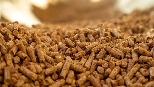 ارتفاع الذرة وانخفاض الصويا والردة، أسعار الأعلاف والحبوب اليوم في الأسواق