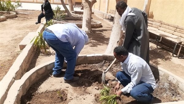 انطلاق حملة صيانة شاملة وتشجير بمدارس أسيوط