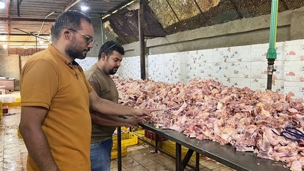 ضبط 13٫5 طن لحوم ودواجن ومنتجات حيوانية فاسدة بأحياء ومراكز الجيزة