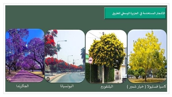 محافظة الإسكندرية تبدأ تنفيذ مشروع توسعة طريق الحرية