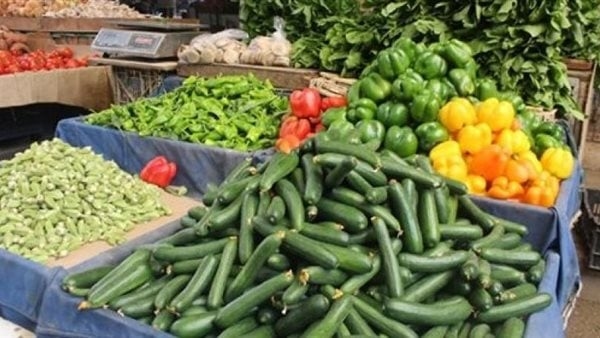 أسعار الخضار اليوم، ارتفاع معظم الأصناف بالأسواق أبرزها الليمون والبامية