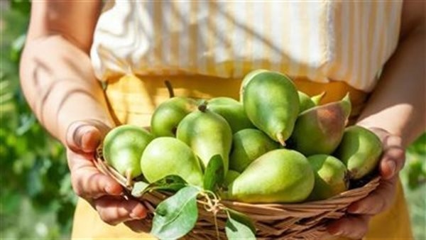 فوائد الكمثرى، ترطب الجسم في الطقس الحار وتحارب العدوى