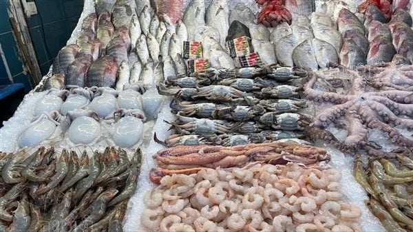 سعر السمك والجمبري اليوم السبت، ما زال الانخفاض مستمرا