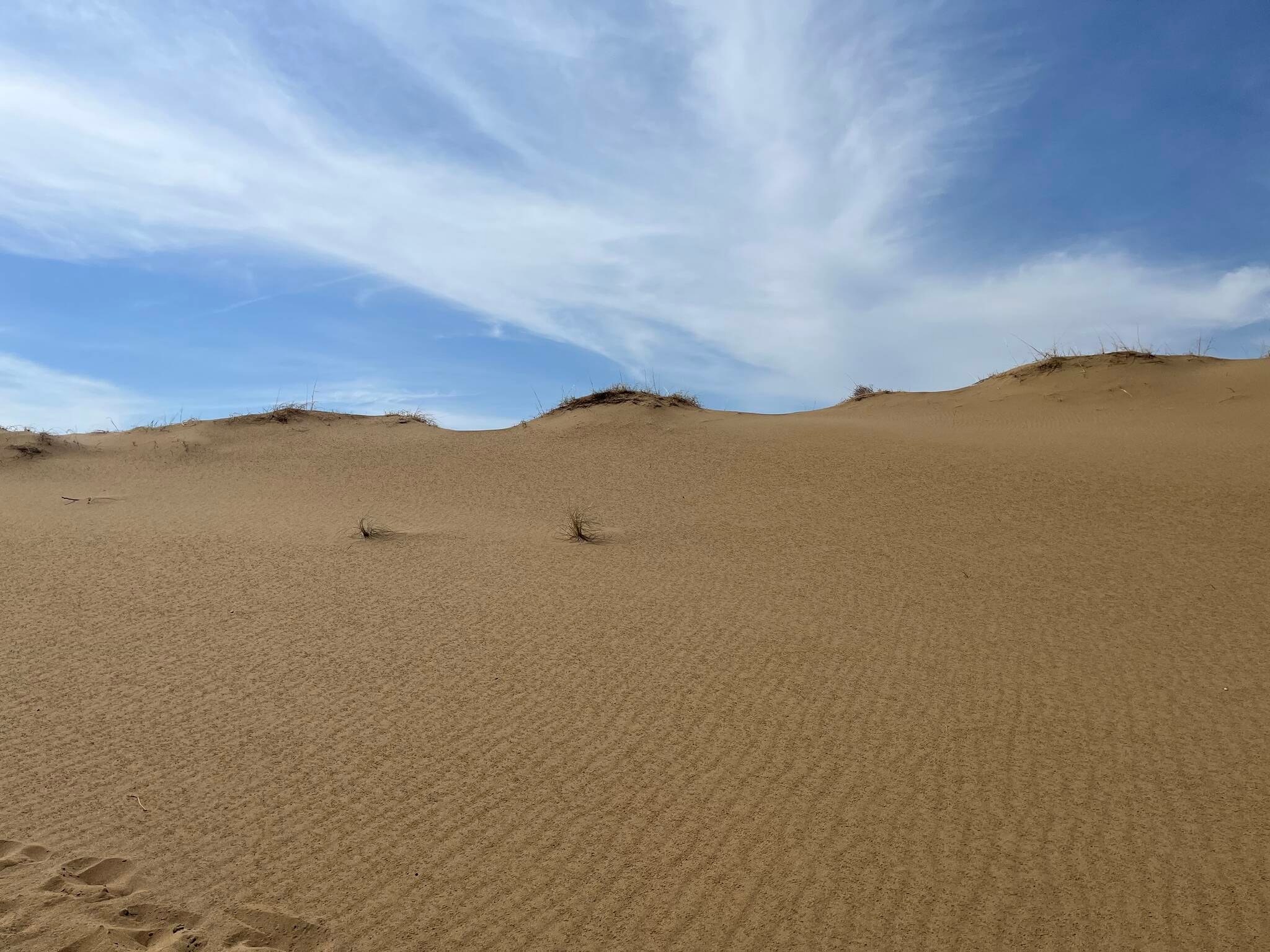 Even time-sculpted sands scarred by the selfish