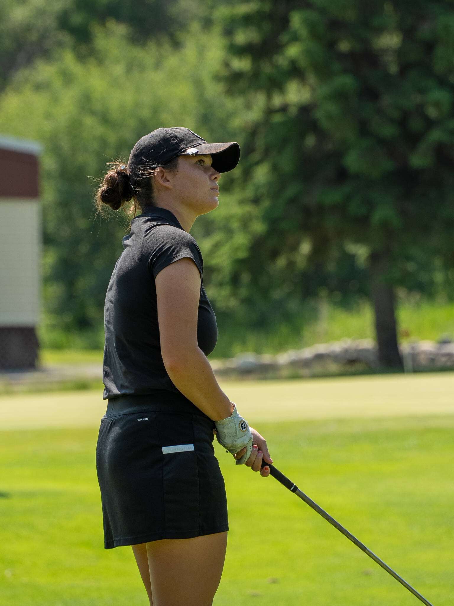 Korman learning on the links