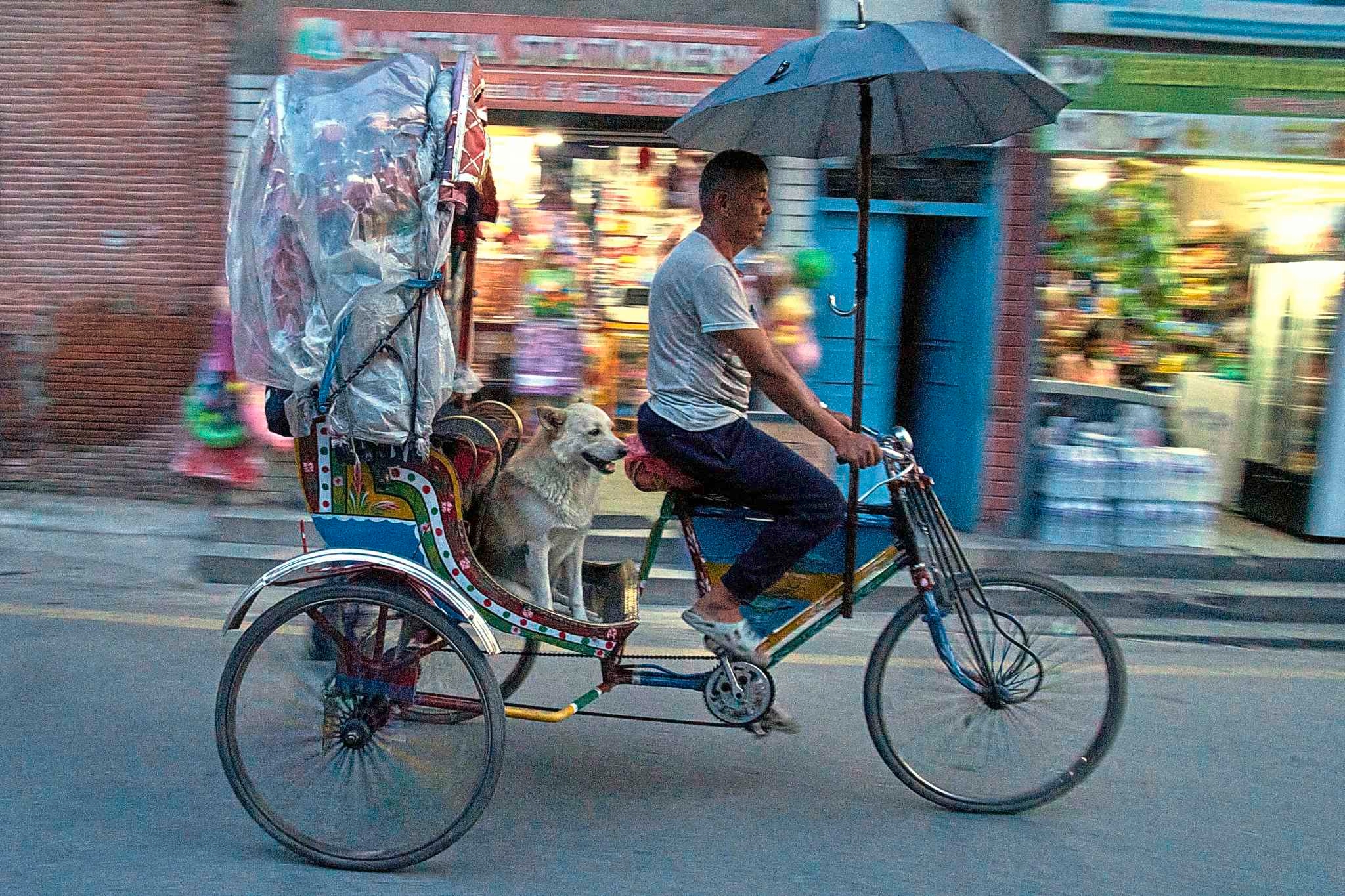 A rickshaw driver and his dog are winning hearts in Nepal's Kathmandu