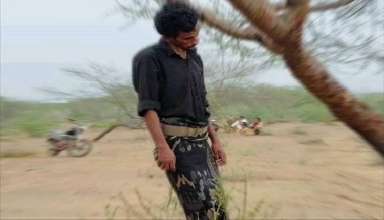 العثور على شاب مشنوق على شجرة.. والحوثيون في قلب الجريمة