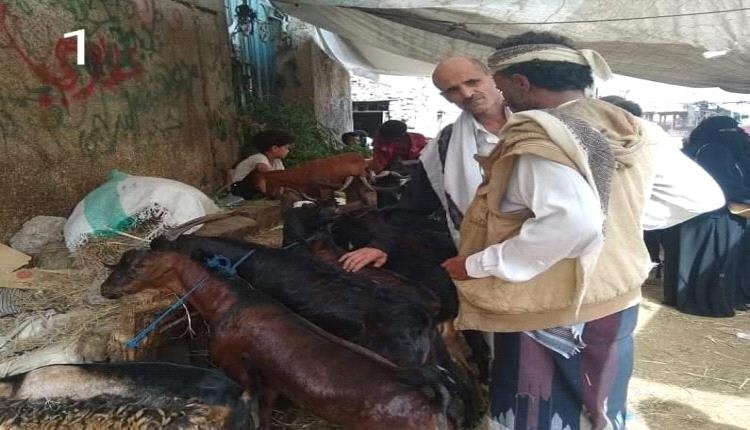 خروف العيد يتحوّل إلى حلم باهظ.. أسعار الأضاحي تقفز في تعز وتثير موجة غضب واسعة