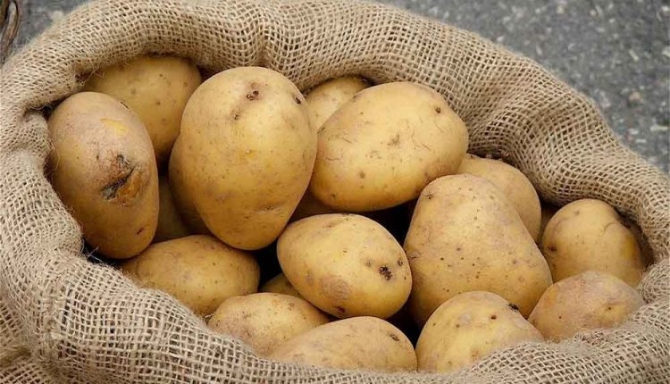 لماذا يجب تناول البطاطا من دون ملح؟