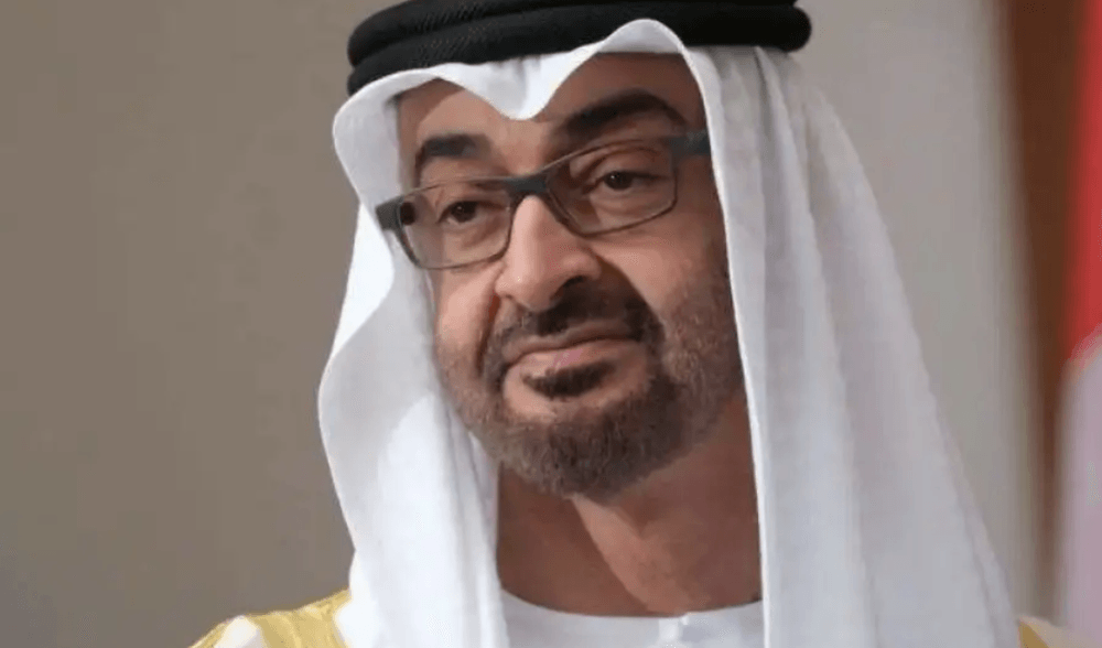 UAE President discusses cooperation with Armenian Prime Minister