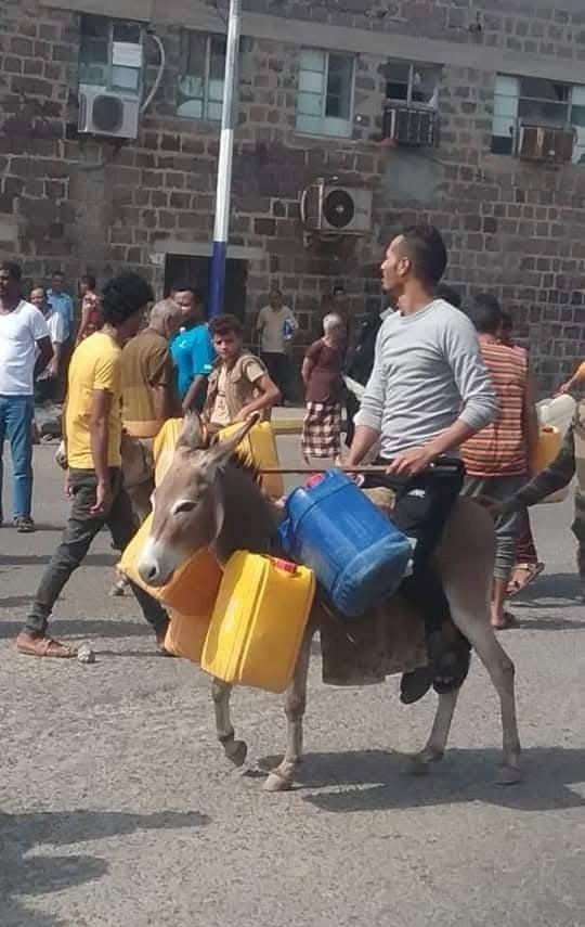 سياسي جنوبي: الناس في عدن تحلم بالغذاء فقط