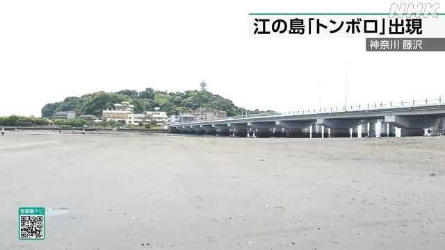 Tourists take route that emerges at low tide to visit Enoshima Island near Tokyo