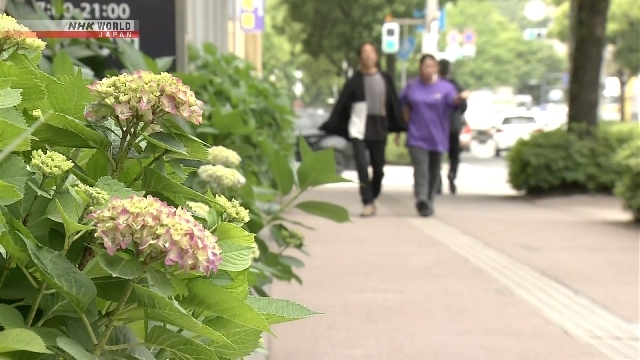 Rainy season arrives early in Japan's southern Kyushu region