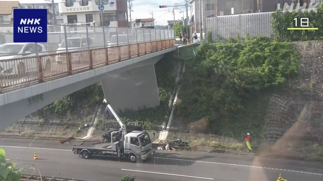 Driver arrested after car plunges onto expressway in central Japan