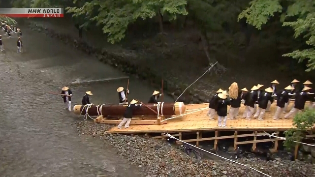 Sacred wood for historical ceremony transported to Ise Jingu shrine in Japan