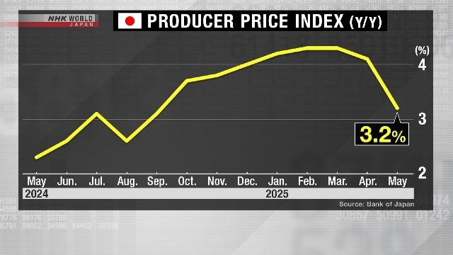 Japan's wholesale inflation eases in May