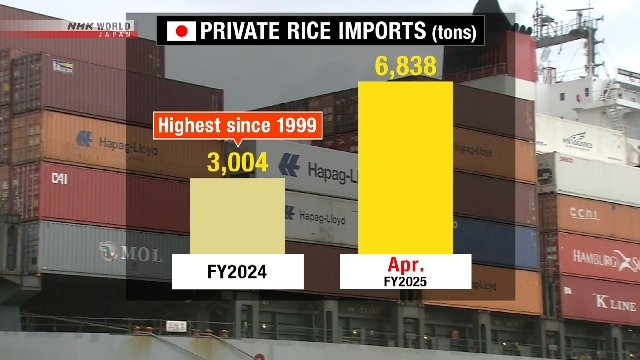 Japan firms boost rice imports amid jump in domestic price