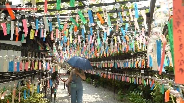 Over 10,000 wind chimes welcome visitors to temple in southwestern Japan
