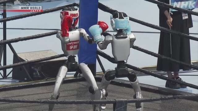 Humanoid robot games in Beijing showcase cutting-edge technology