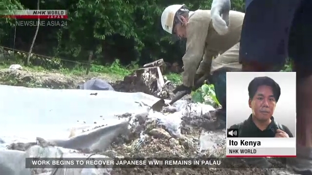 Work begins to recover Japanese WWII war dead in Palau