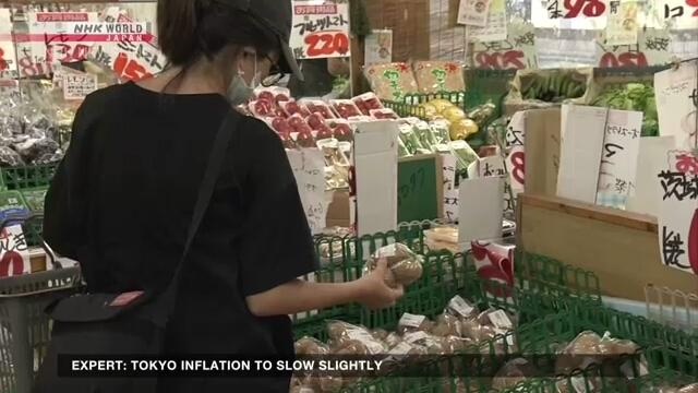 Expert: Tokyo inflation to slow slightly