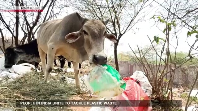 People in India unite to tackle plastic waste