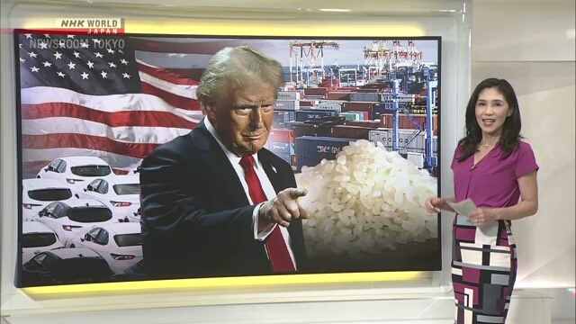 Experts assess impact of US-Japan trade deal