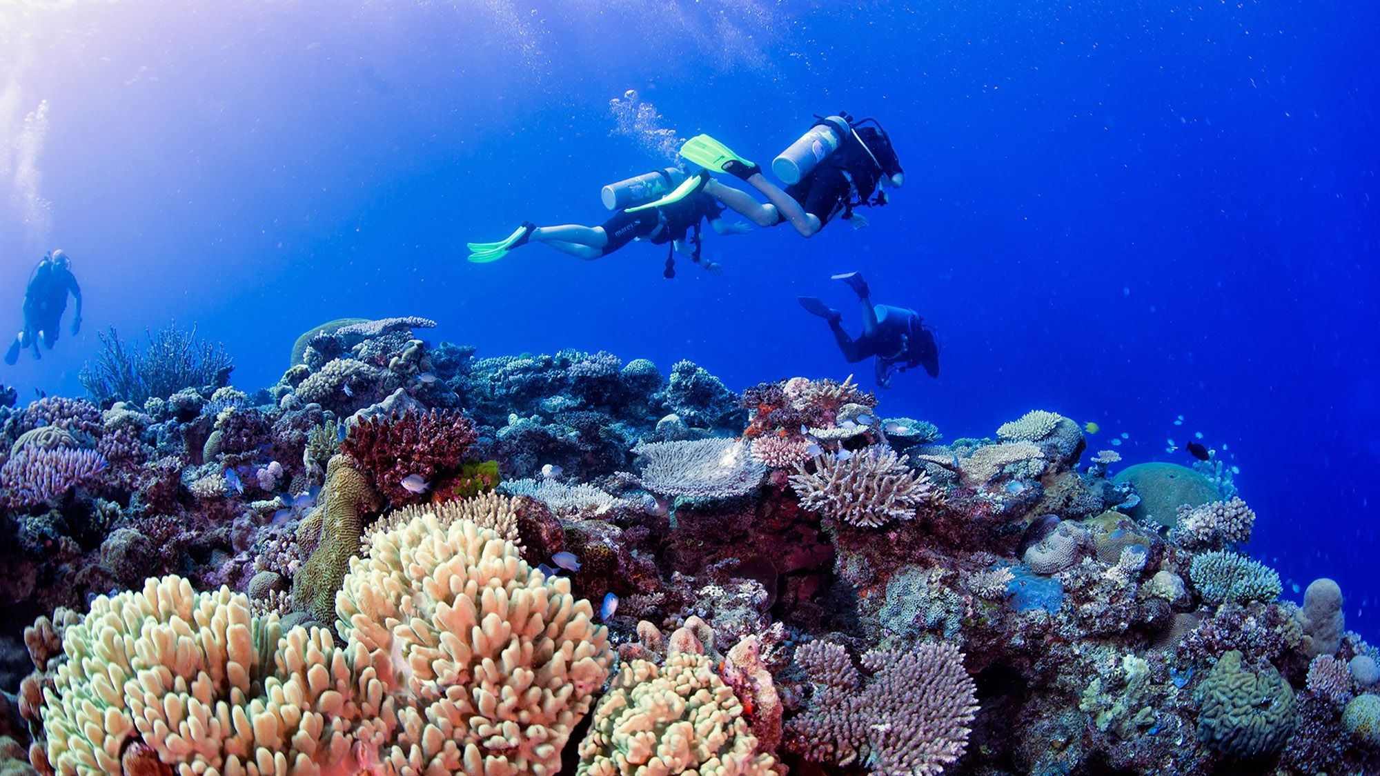 The big blue: Finding happiness deep in the Pacific