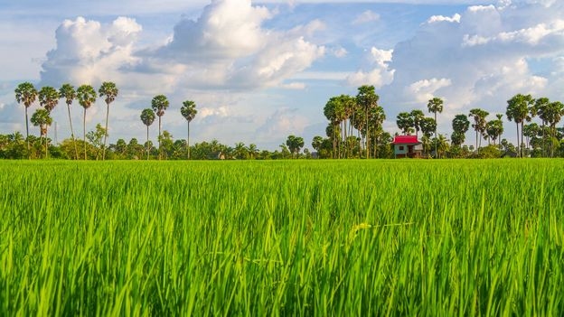 Koh Mak: The tiny island that's redefining travel to Thailand