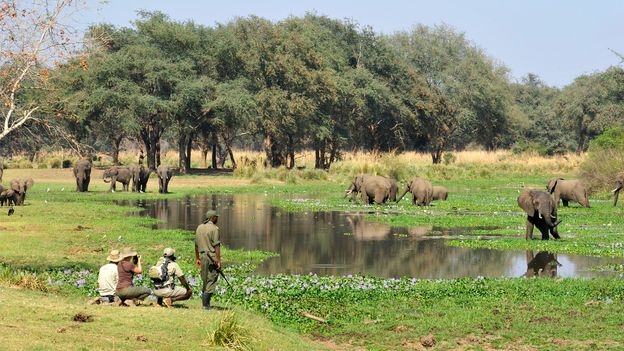 The African elephant in the room: Is there such a thing as guilt-free safari?