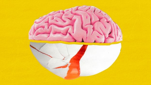 Choline: The underappreciated nutrient that's vital for our brains