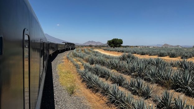The return of Mexico's famous Tequila Express train