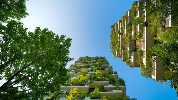 'A home for trees and birds, and also humans': How high-rise forests can transform city life – and make us happier