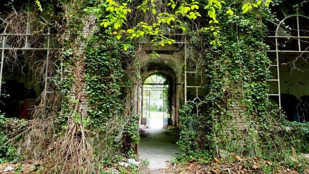 Is it better to neglect your garden?