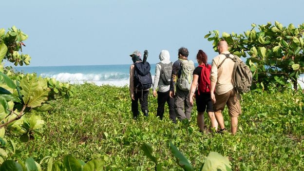 Gold, jaguars and a rainforest in peril: Trekking Costa Rica's wildest trails